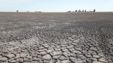 San Cayetano logró que se declare la Emergencia Agropecuaria en su región