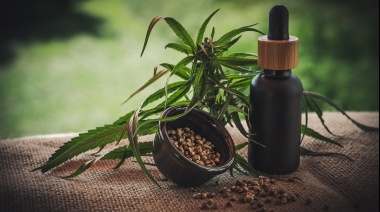 El CBD y su impacto en el bienestar mental