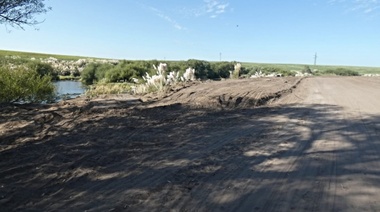 "Tremenda destrucción de biodiversidad": quejas por "limpieza" en el paseo ribereño