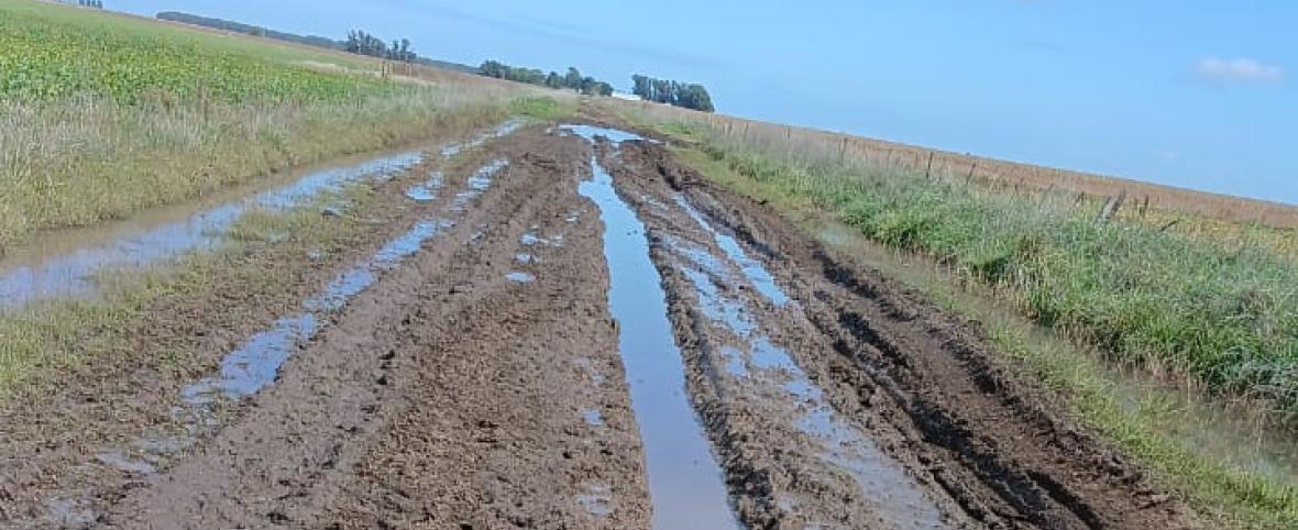 Necochea quedó entre los peores: caminos rurales destrozados y alerta por reclamos millonarios