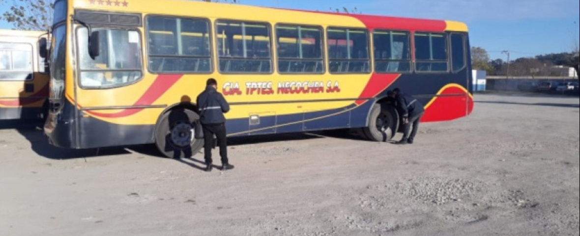 El futuro de los colectivos en Necochea: cambios en estudio y reclamos de los choferes