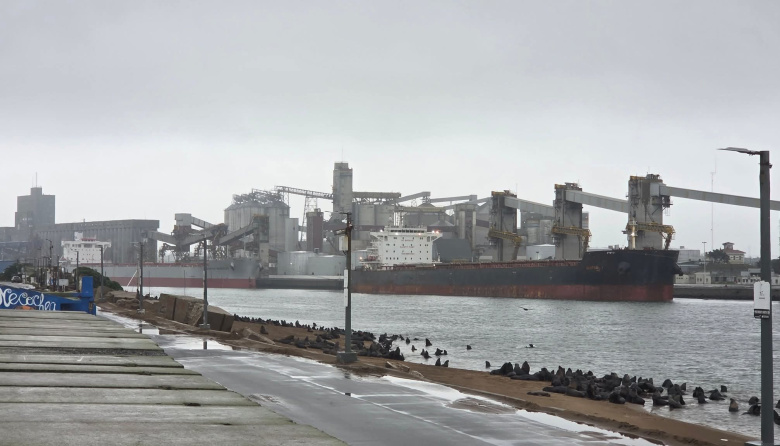 Jueves fresco y húmedo en Necochea: se esperan lluvias durante la mañana y la tarde