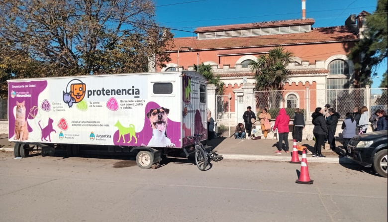 Quirófano móvil en Obras Sanitarias: castración gratuita durante septiembre para tu mascota