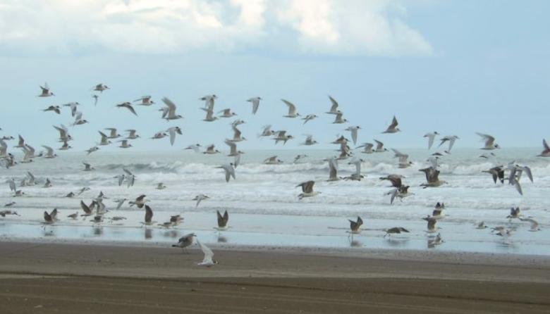Necochea: así estará el clima este domingo, con mínima de 9° y sin lluvias