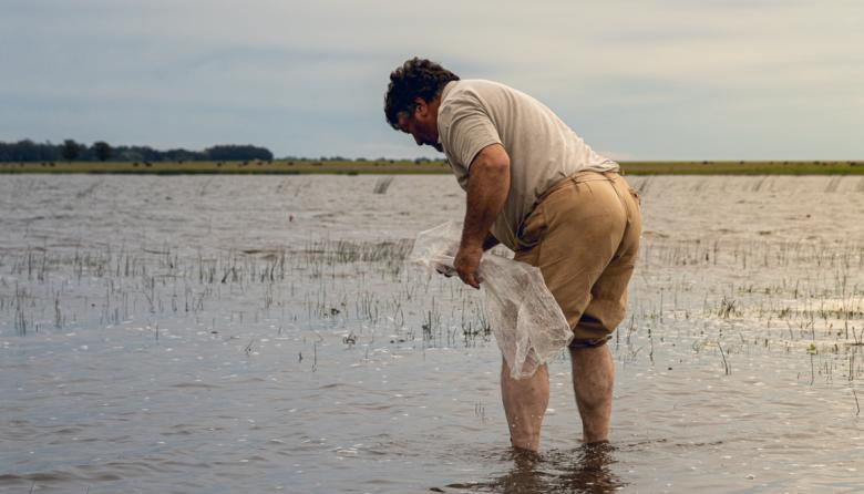 San Cayetano vuelve a sembrar pejerrey en sus lagunas tras la sequía histórica