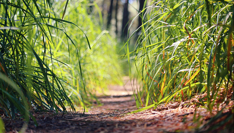 Necochea arranca la semana con buen tiempo y una máxima de 24°C