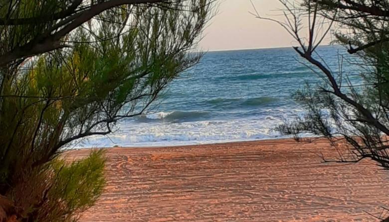 De la niebla al sol: mirá cómo estará el clima este domingo en Necochea