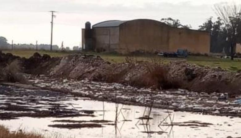 Apuntan nuevamente contra la avícola Jurjen por contaminación y malos olores