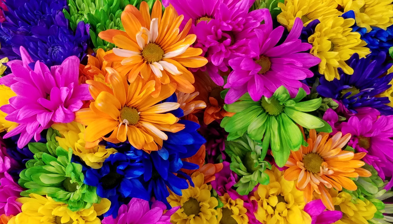 Se realiza una nueva edición de “Necochea Florece” con venta solidaria de plantines