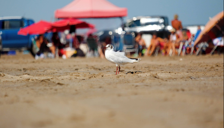 Carnaval con buen clima en Necochea: lunes ideal y martes con 30° y posibles lluvias