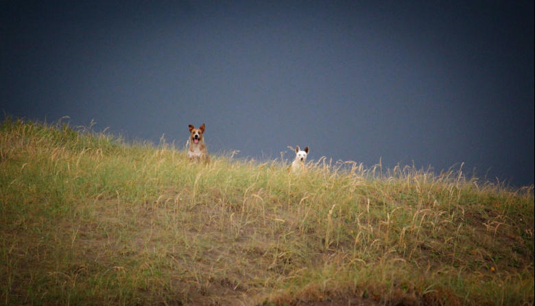Sábado inestable en Necochea: anuncian chaparrones y tormentas hacia la noche