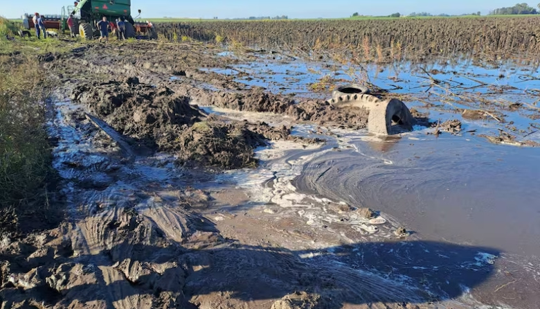 Fallo en Daireaux por la tasa que pagan productores podría sentar precedente para Necochea
