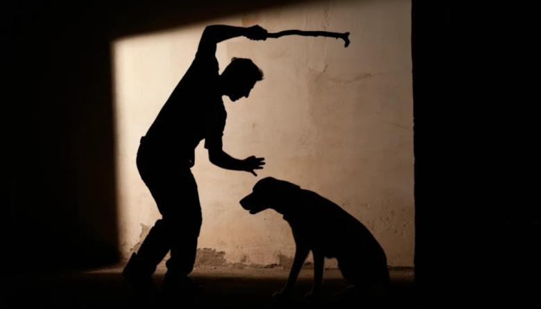 Proponen endurecer sanciones por maltrato animal en Necochea