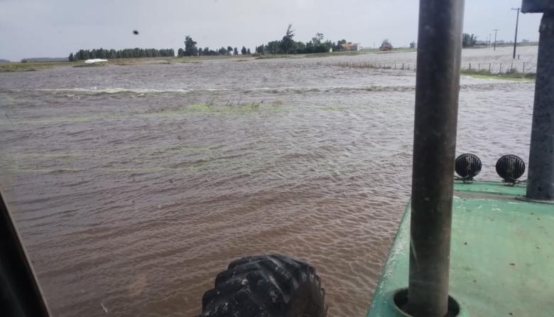 Desbordan canales, desaparecen caminos y crece la preocupación en el campo: “Ya no hay por dónde llegar”