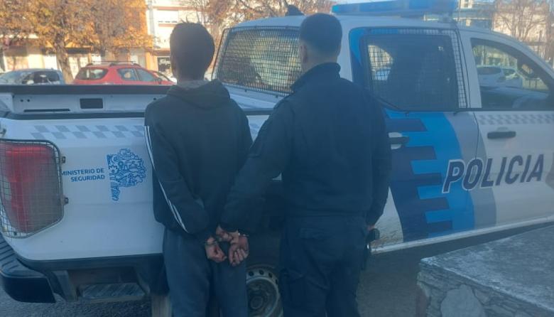 Intentó esconder un televisor robado entre arbustos y terminó aprehendido en Necochea