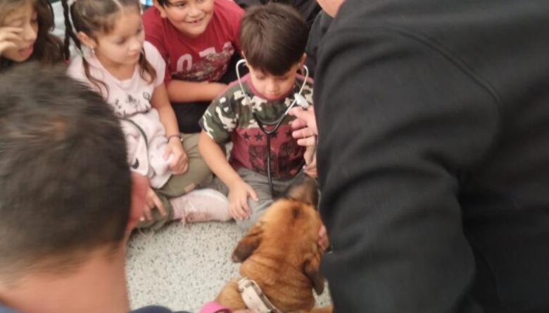 Perros en las aulas: así fue la jornada por el Día del Animal en San Cayetano