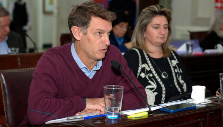 "Hubo una tala de árboles vivos sin explicación alguna": ACT llevó el reclamo al Concejo