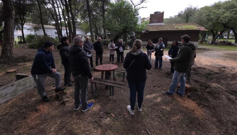 La polémica por los árboles talados en Pinolandia llegó al Concejo: piden explicaciones al Ejecutivo