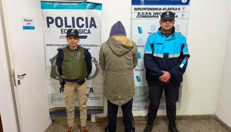 Aprehendieron al acusado de maltrato animal y ahora buscan hogares de tránsito para los tres pitbulls rescatados