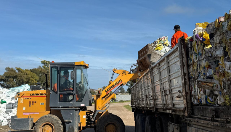 Más de 78 toneladas recuperadas: el reciclaje generó $3,6 millones
