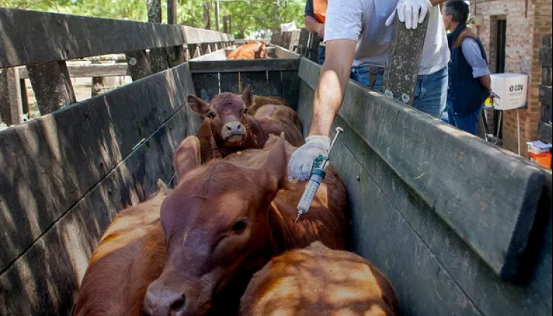 La región ganadera del sudeste bonaerense vuelve a plantarse contra la desregulación sanitaria