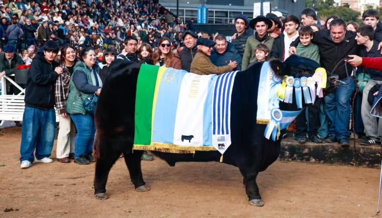 Rip, el toro de La Dulce, fue Gran Campeón Angus en Palermo