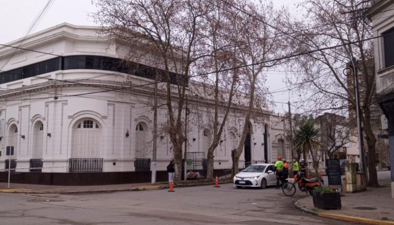 Frenaron una tala en pleno centro: denuncia y permiso en disputa