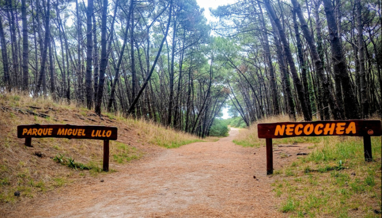 Chaparrones en Necochea: a qué hora llegarían las lluvias este domingo