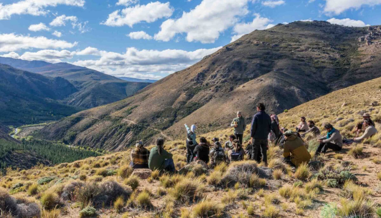 Sin el capítulo sobre la Ley de Tierras: qué cambios mantiene el proyecto que debatirá el Senado