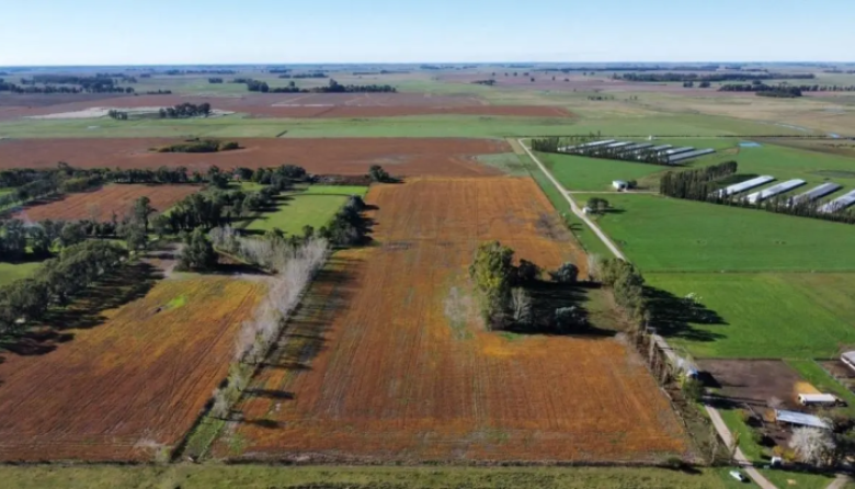 Tierras en manos extranjeras: Necochea y cinco distritos de la región suman más de 122.000 hectáreas