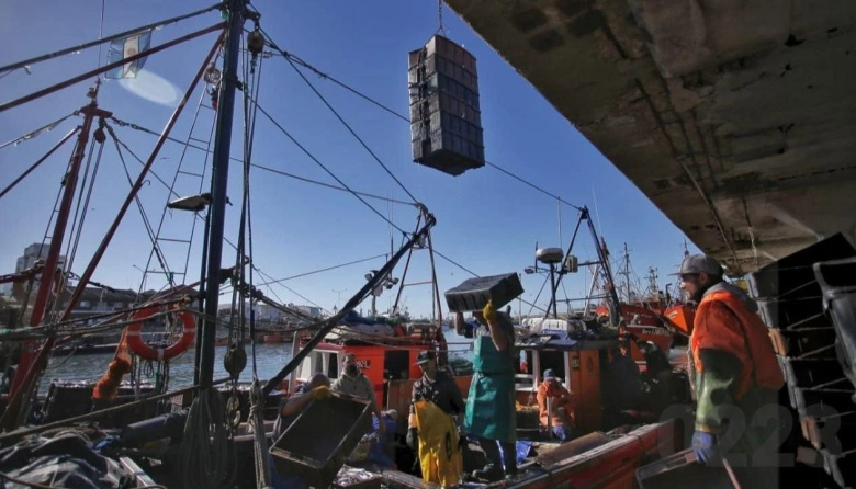 La pesca bonaerense reclama por la pérdida de actividad: “Nos están sacando del esquema productivo”