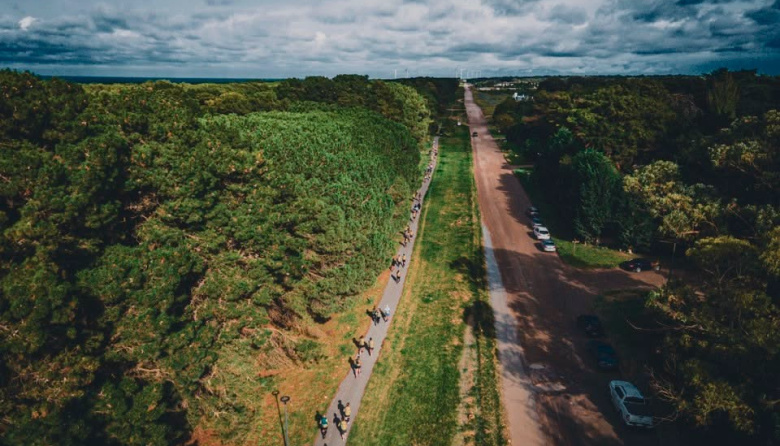 Parque Miguel Lillo: el bosque junto al mar que distingue a Necochea