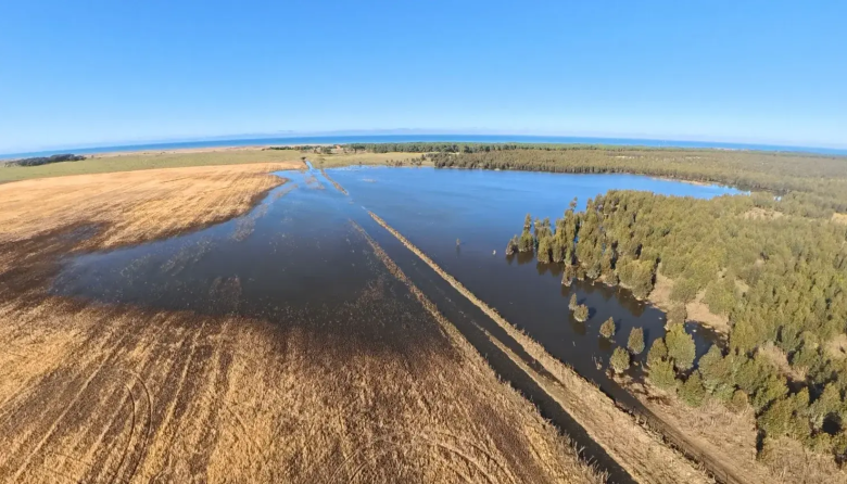 El Niño y los cultivos: qué puede pasar en el sudeste bonaerense, según 35 años de datos