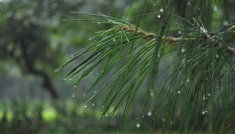 Domingo fresco y con lloviznas en Necochea y Quequén: cómo estará el tiempo durante la jornada