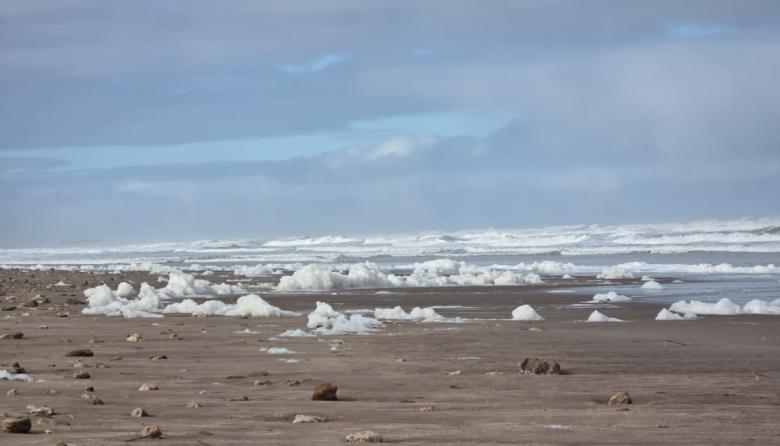 Frío, neblina y apenas 2 °C: así estará el lunes en Necochea y Quequén