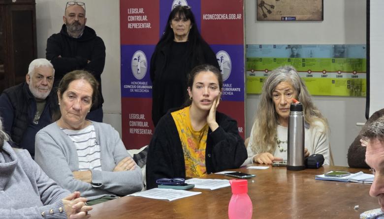 “Si intentan sacar los árboles, se va a generar más conflicto”: fuerte reclamo por el arbolado urbano en el HCD
