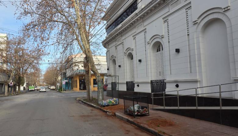 Tras la tala frente al Colegio de Abogados, convocan a vecinos al Concejo