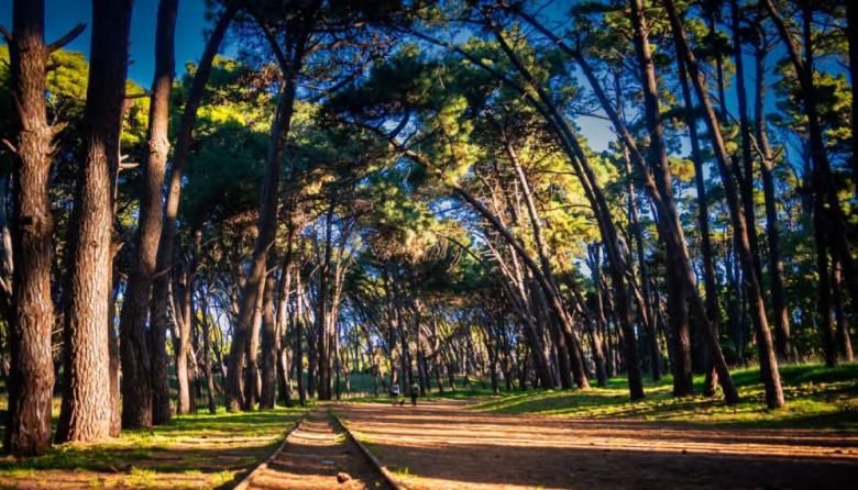 Necochea y Quequén: cómo estará el tiempo este jueves 10 de septiembre