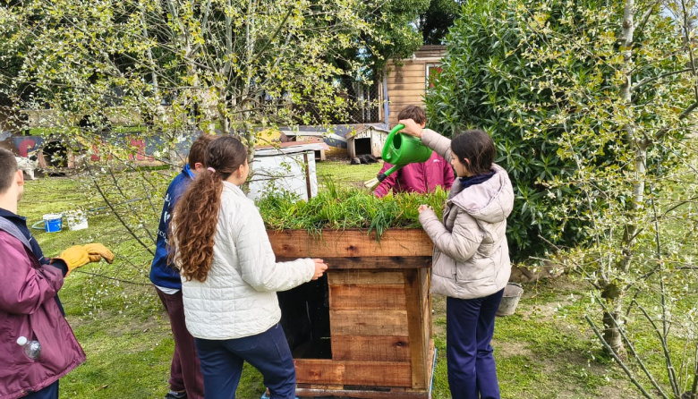 Estudiantes del Colegio Danés construyen cuchas con “techo vivo” para los perros del CAAN