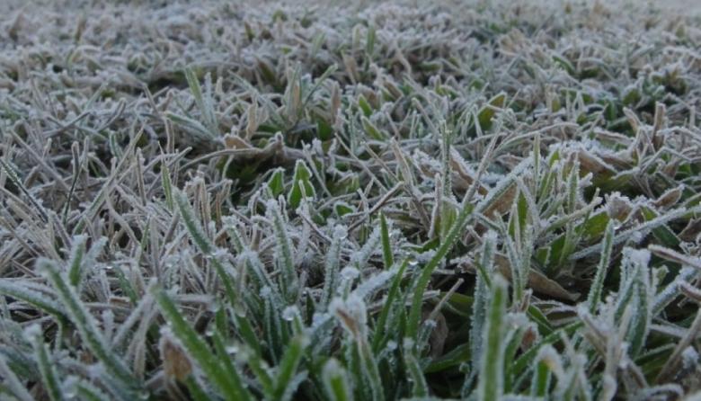 Necochea tendrá una mañana bajo cero y una máxima de 14 grados este lunes