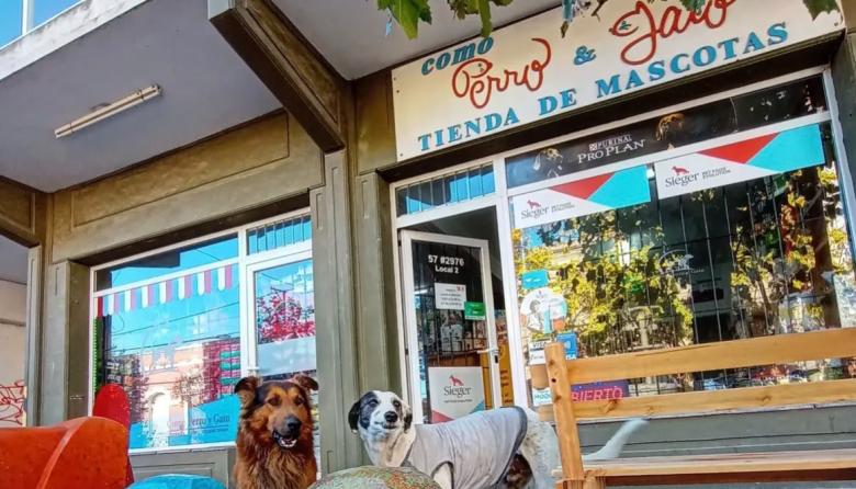 El dueño de Como Perro y Gato habló por Rulo: “Me hago cargo de lo sucedido”