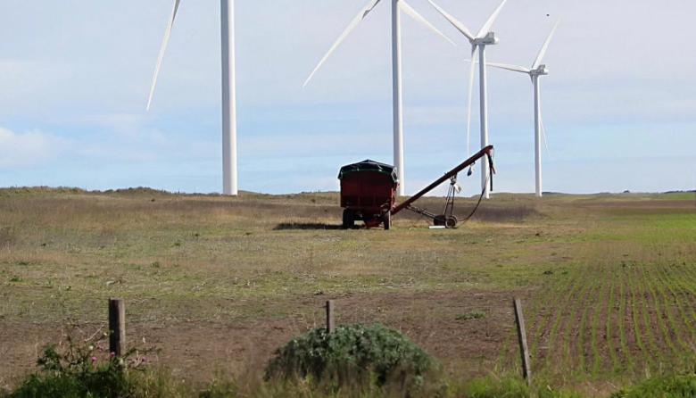 Ya no hay alerta en Necochea, pero el jueves seguirá ventoso: cómo estará el tiempo