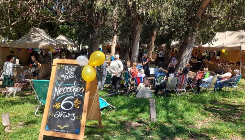 Sabe la Tierra reprogramó su vuelta al Parque Lillo: será el sábado 10 de octubre