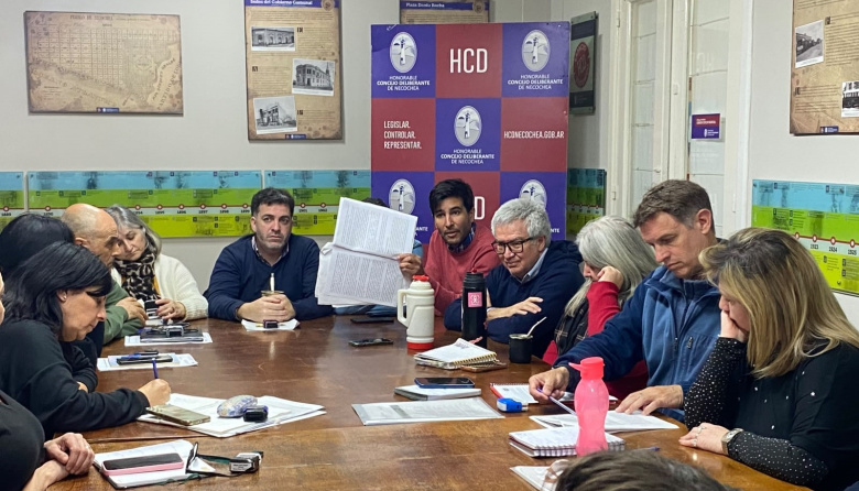 El HCD refrendó la prórroga por 150 días para la Compañía de Transportes Necochea