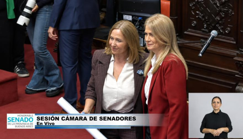 Valiante no ingresará al Senado: quién es Fiego, la reemplazante de Montenegro