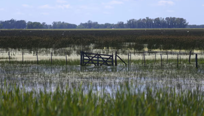 Nación declaró la emergencia agropecuaria en Necochea: qué sectores alcanza y qué beneficios prevé