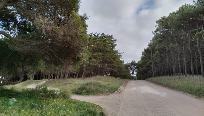 Chaparrones y ráfagas de hasta 50 km/h: cómo estará el viernes en Necochea y Quequén