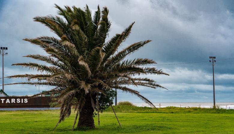 Clima en Necochea y Quequén: domingo con lluvias aisladas y una máxima de 14°C