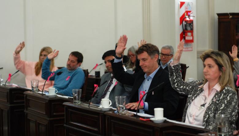 Por unanimidad, el Concejo aprobó el nuevo pliego de colectivos para Necochea y Quequén