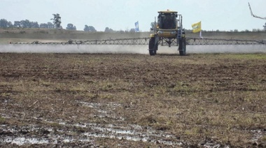 "Nunca hubo un control ni sanción para fumigaciones en área complementaria"